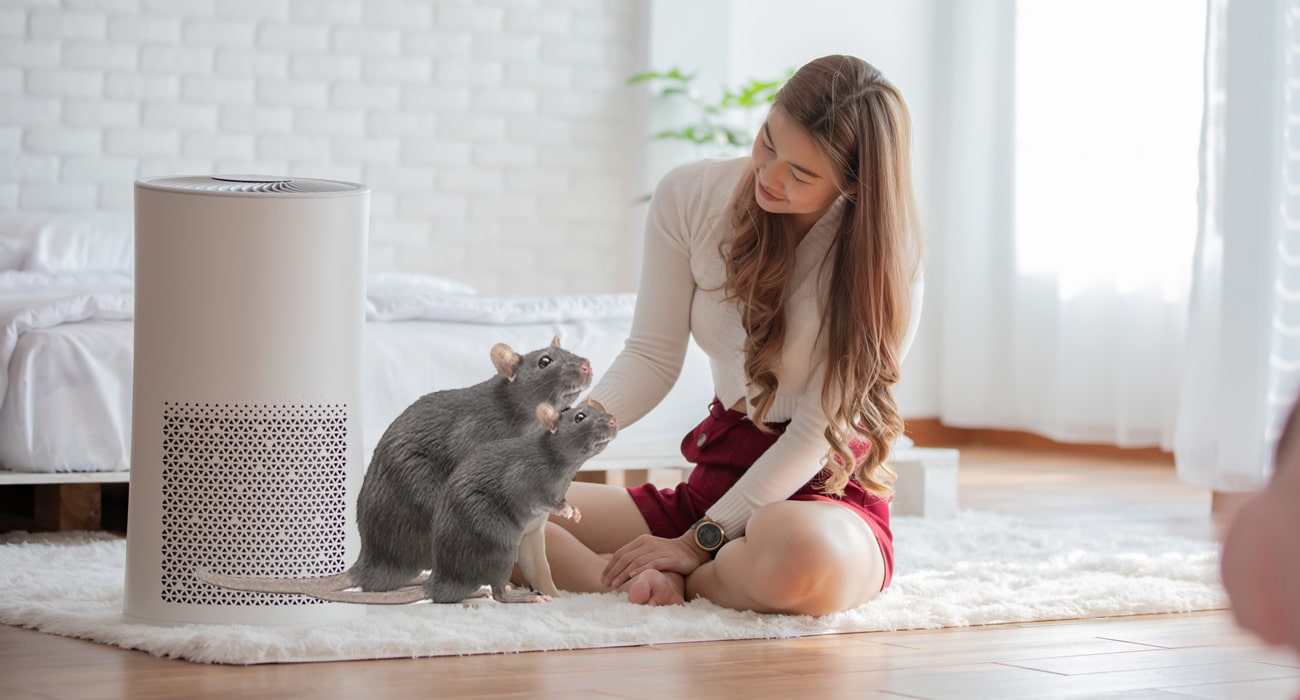 Air Purifiers for Your Pet Rats